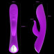 Paloqueth G-Spot Dual Vibrator Purple