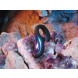 LELO Enigma Double Sonic Black